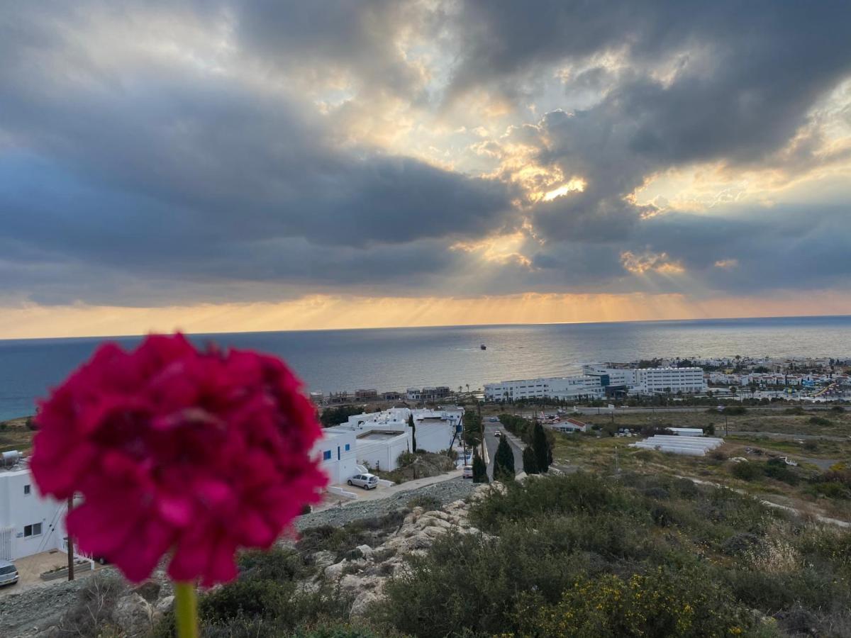 Melania Gardens Apartment 2 Paphos Eksteriør bilde